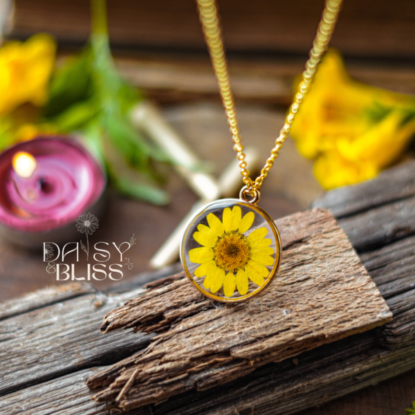 Daisy – Healer
