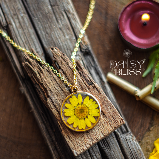 Daisy – Healer